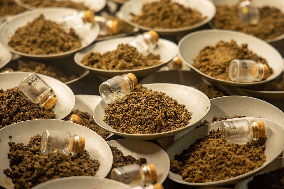 新北市立黃金博物館3